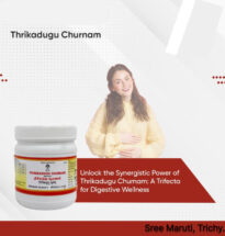 Thiripalaic Churnam – Traditional Triphala powder for digestion and detox support.