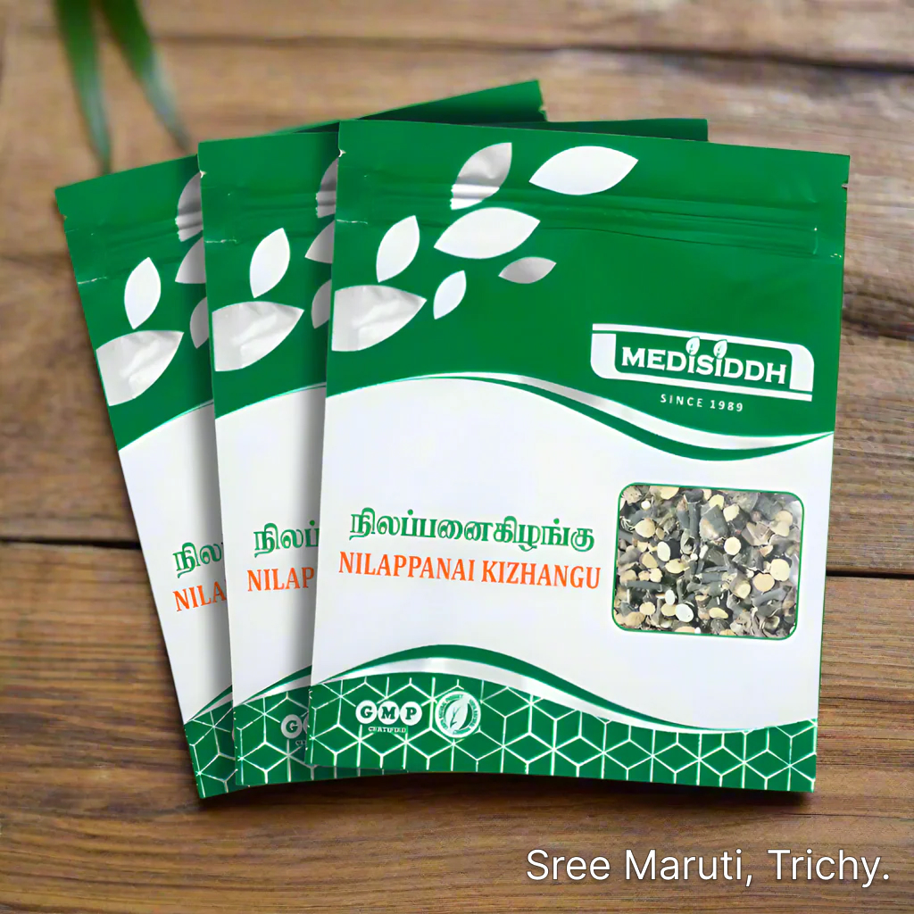 Nilapanai Kizhangu Chooranam herbal powder with Black Musli root for male reproductive health